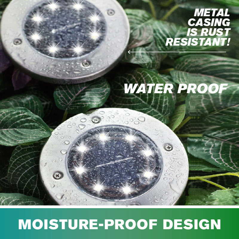 Stainless Steel Solar LED Pathway Disk Lights, Set of 8