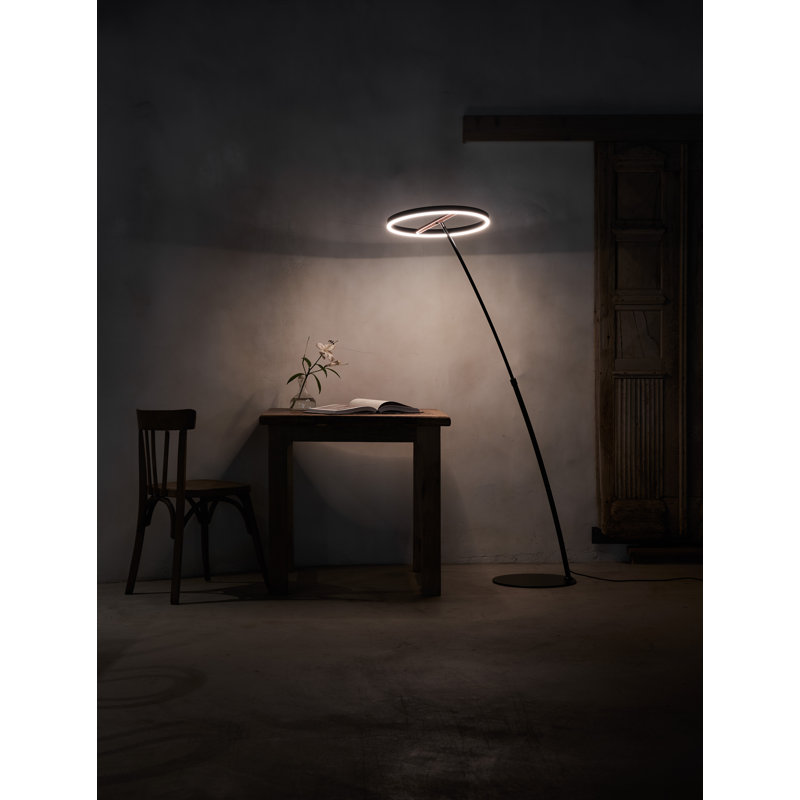 Adjustable Arc Black LED Arched Floor Lamp with Dimmer