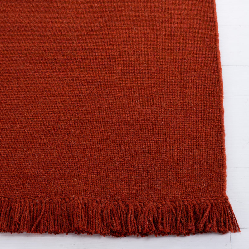 Hand-Knotted Rustic Charm Rust Wool 4' x 6' Area Rug