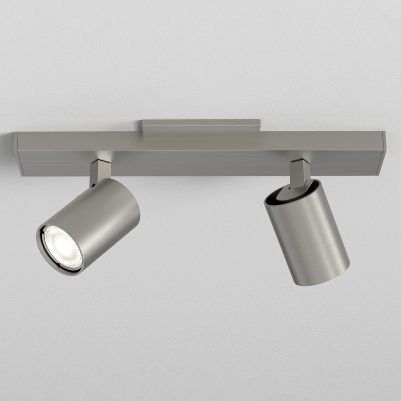 Contemporary Matt Nickel 2-Light Spotlight Ceiling Fixture