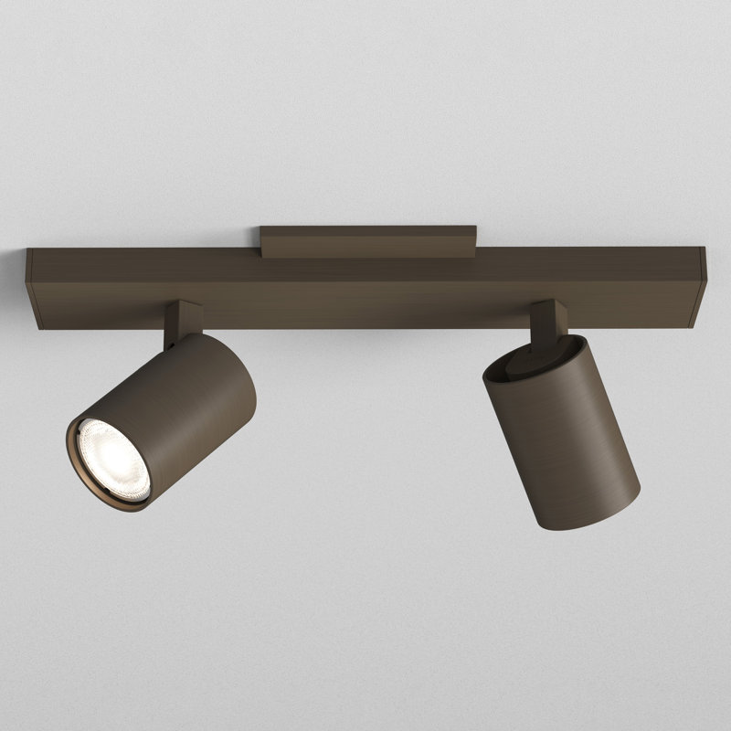 Ascoli Bronze Adjustable 2-Light Metal Spotlight Flush Mount