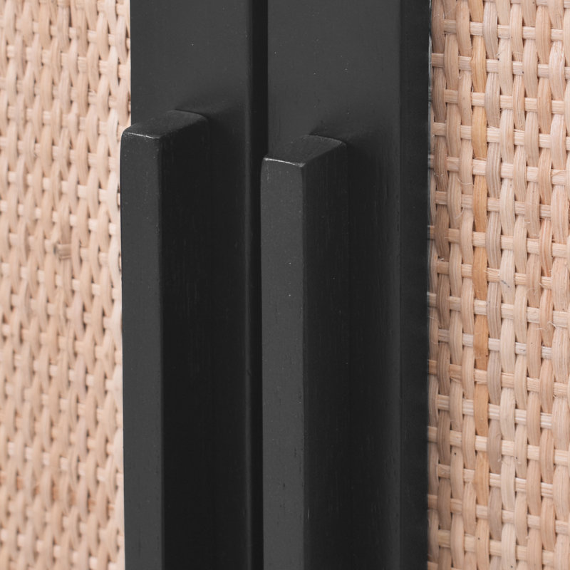 Delancey Boho-Modern Black/Brown Rattan 2-Door Storage Cabinet