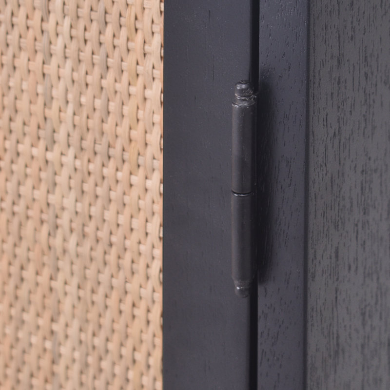 Delancey Boho-Modern Black/Brown Rattan 2-Door Storage Cabinet