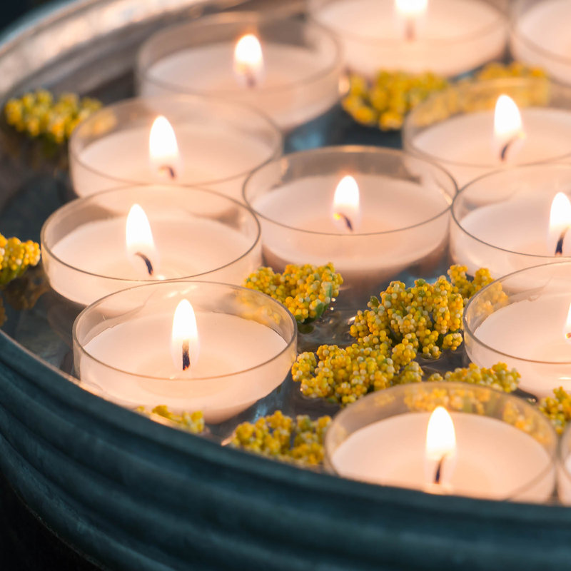 White Palm Wax Long Burning Tealight Candles, 48 Pack