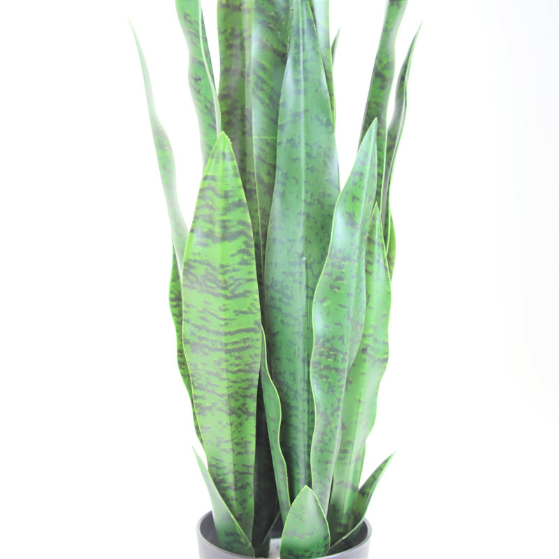 25" Green Silk Snake Plant in Black Pot