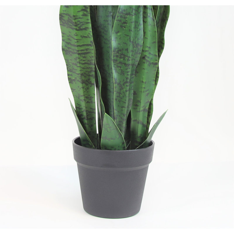 25" Green Silk Snake Plant in Black Pot