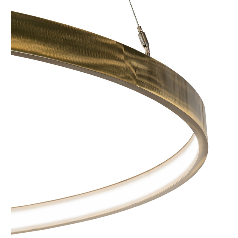 Hand-Forged Brass Tint LED Indoor/Outdoor Pendant Light