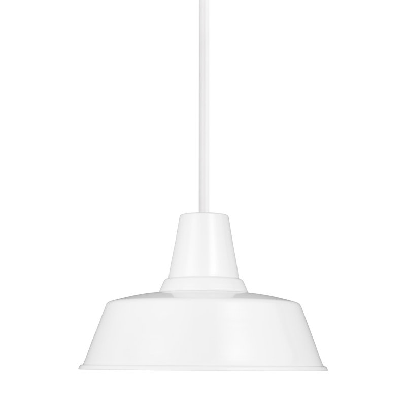 Fisher White Aluminum 14" Dia Outdoor Pendant Light