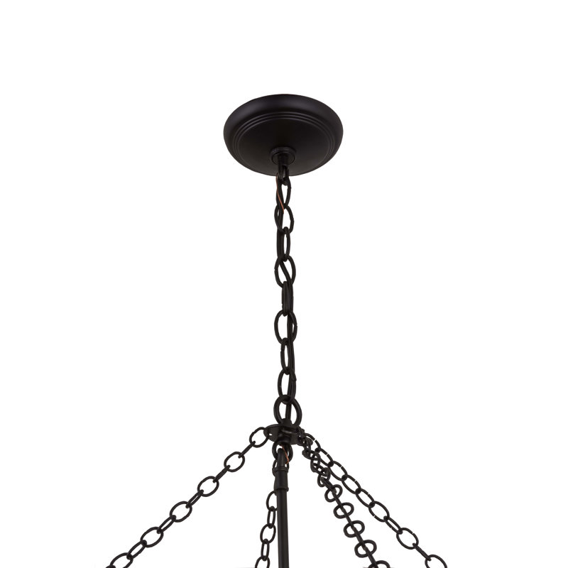 Arkley Black Crystal 4-Light Indoor/Outdoor Pendant Lantern