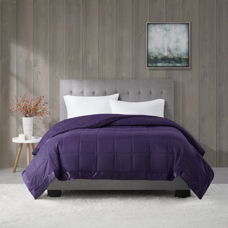 Full/Queen Blue Down Alternative Blanket with Satin Trim