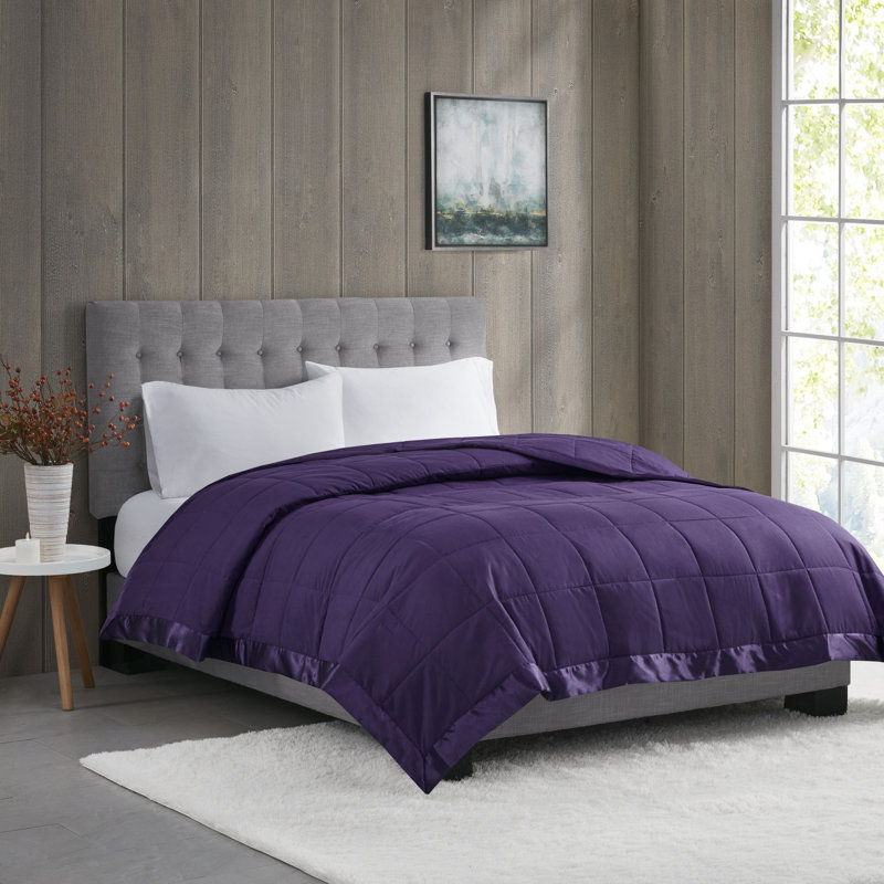 Full/Queen Blue Down Alternative Blanket with Satin Trim