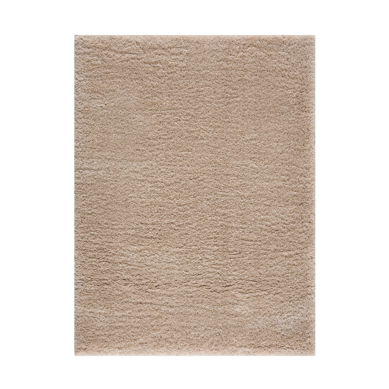 Gray 6' x 9' Rectangular Shag Area Rug