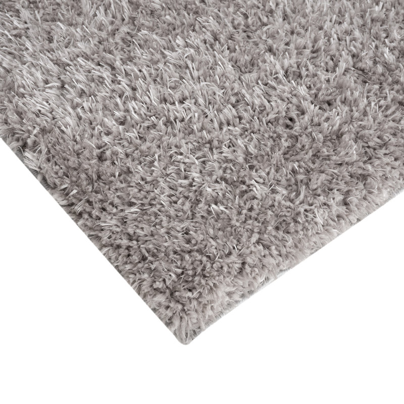 Gray 6' x 9' Rectangular Shag Area Rug