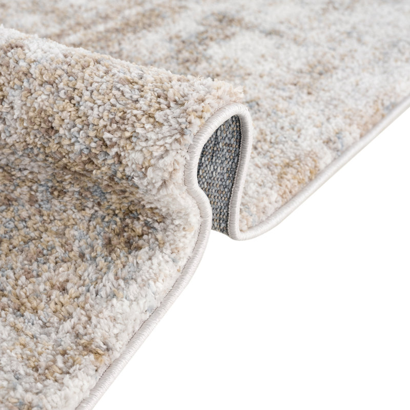 Haley Cozy Shag 6' x 9' Abstract Gray Area Rug