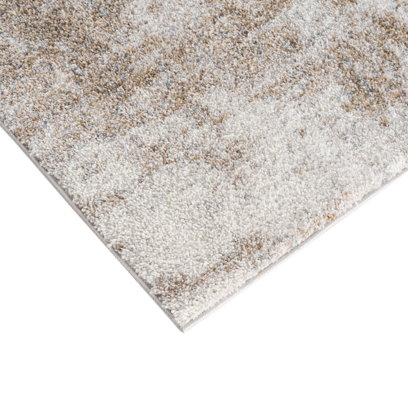 Haley Cozy Shag 6' x 9' Abstract Gray Area Rug