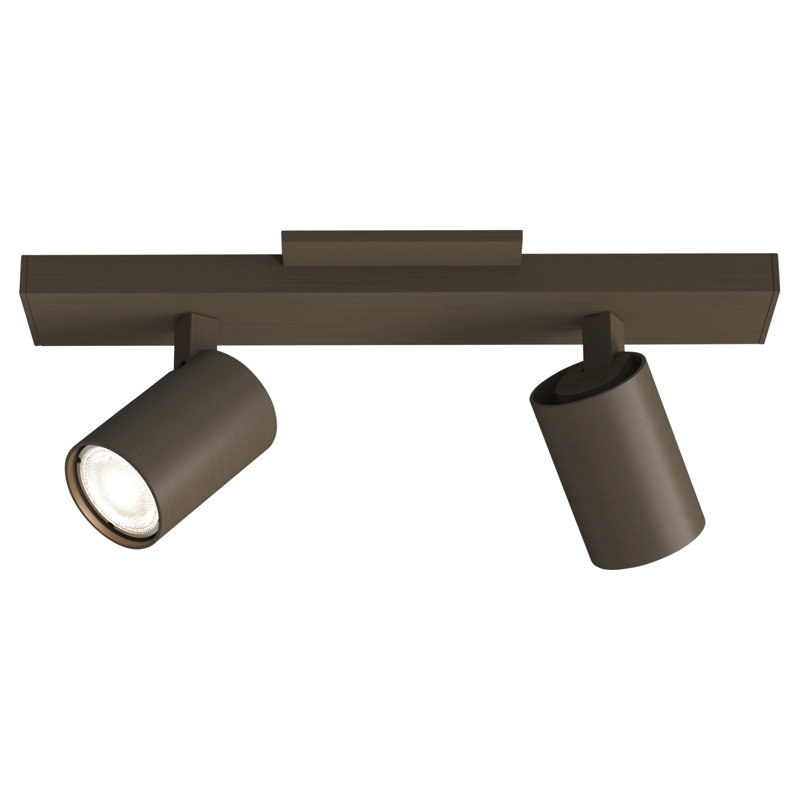Ascoli Bronze Adjustable 2-Light Metal Spotlight Flush Mount