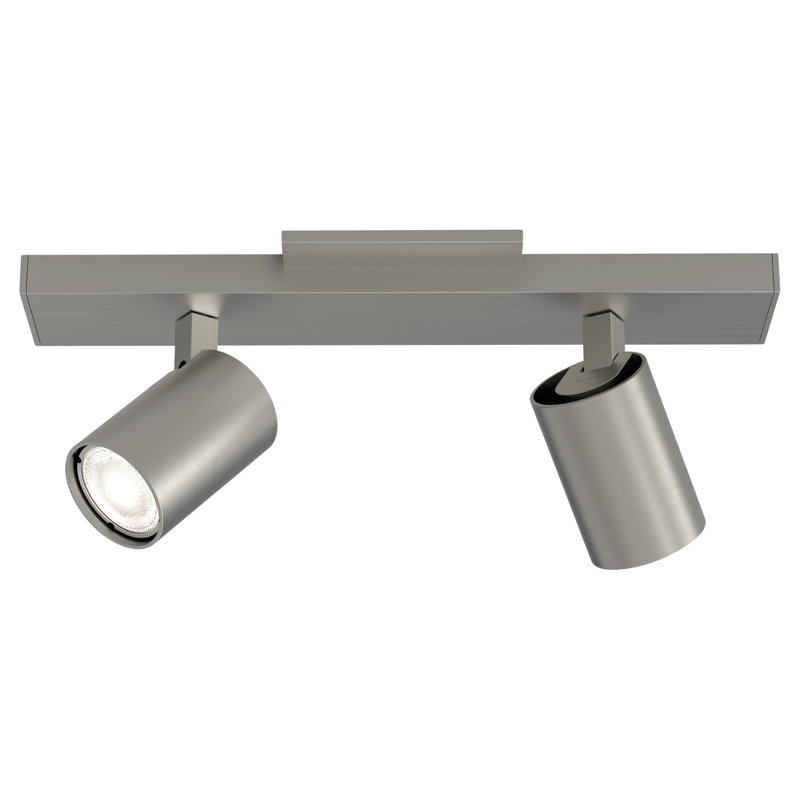 Contemporary Matt Nickel 2-Light Spotlight Ceiling Fixture