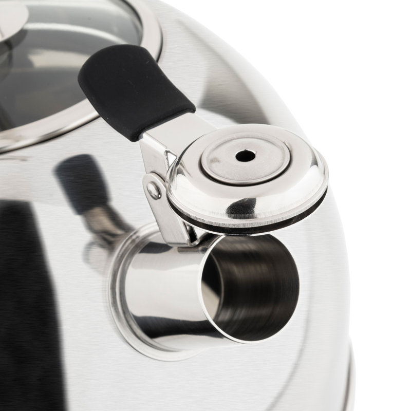 Satin Silver 2.6-Quart Stainless Steel Whistling Tea Kettle