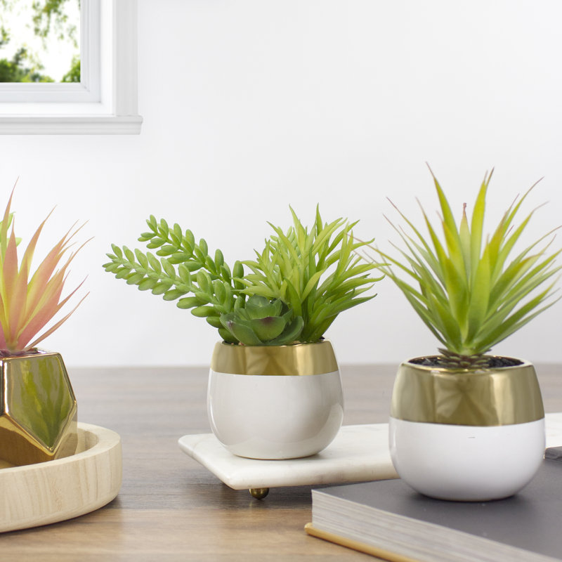 Chic 6.5" White and Gold Ceramic Potted Artificial Succulent