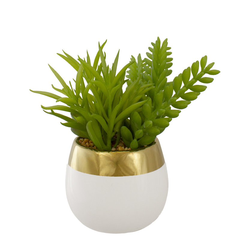 Chic 6.5" White and Gold Ceramic Potted Artificial Succulent