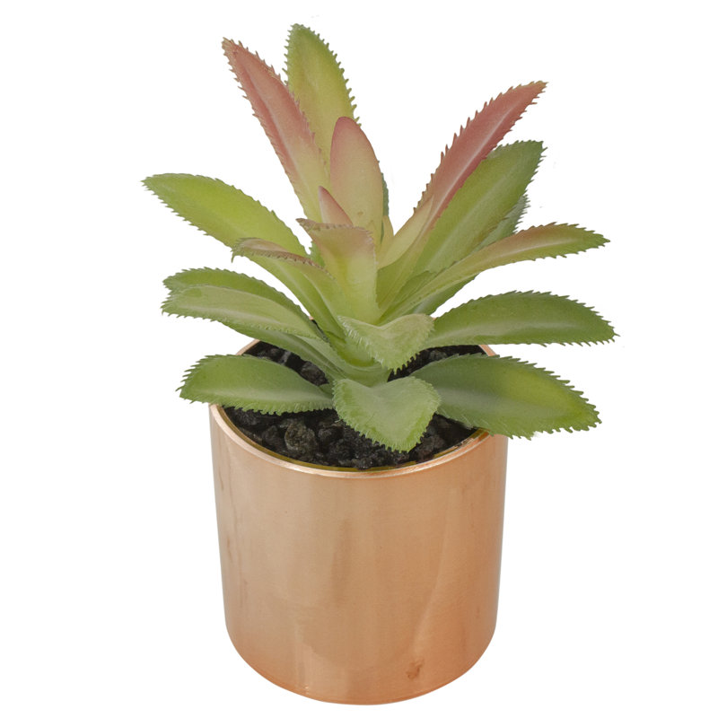 Rose Gold Potted Artificial Aloe Plant, 5" Height