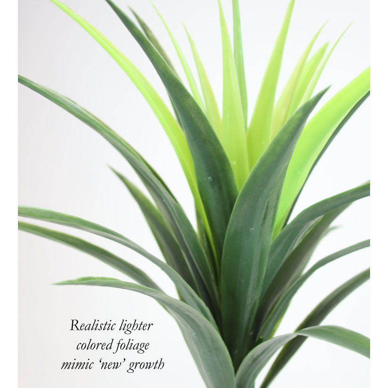Mod Greenhouse 36" Faux Agave Plant in Matte Black Pot