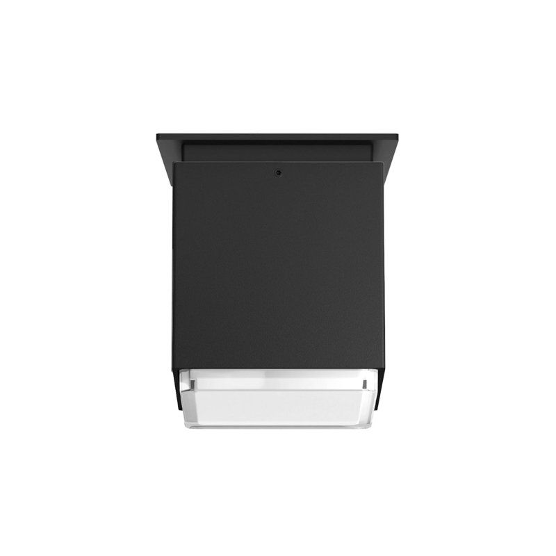 Sunset Black Glass LED Indoor/Outdoor Flush Mount