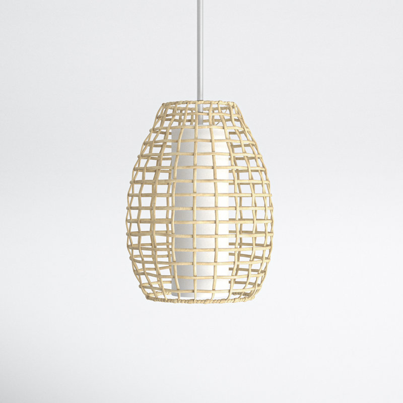 Galvanized Coastal Rattan and Glass Outdoor Pendant Light