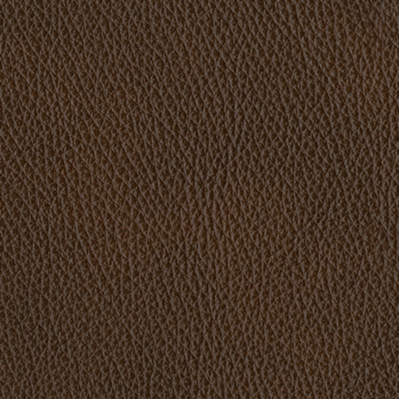 Contemporary Brown Leather Power Recliner with USB Charging