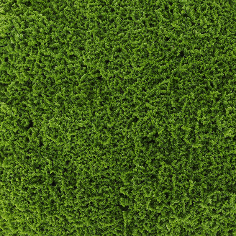 20'' x 20'' Green Faux Moss Privacy Panel