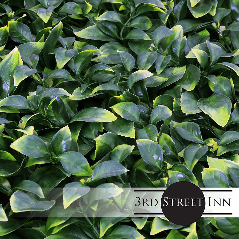 20'' Square Green Artificial Gardenia Ivy Topiary Panel