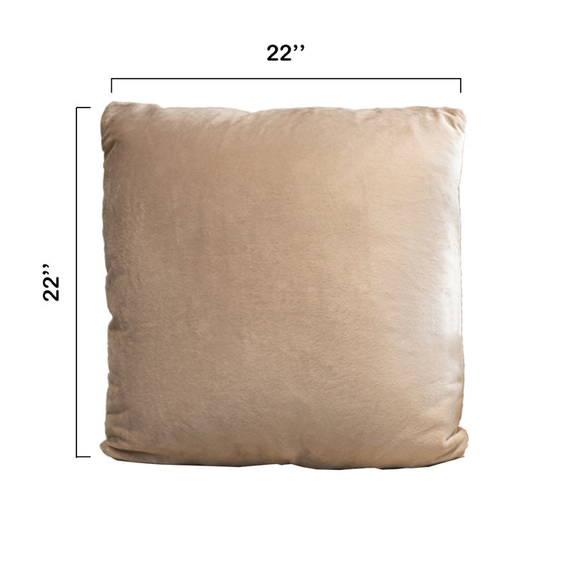Taupe Velour Decorative Throw Pillows with Inserts, Set of 2