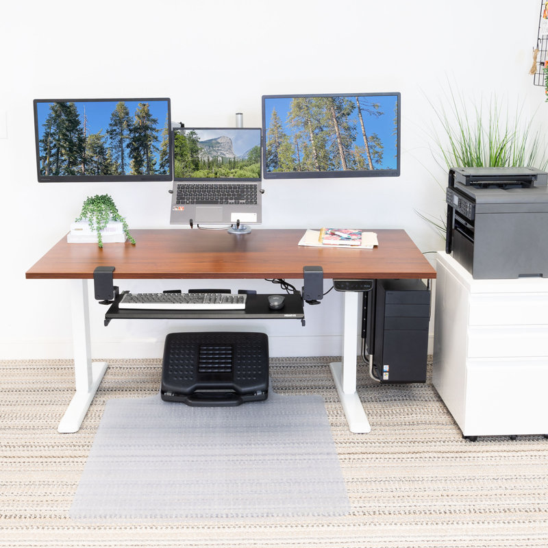 ErgoMaster Pro White Electric Sit/Stand Desk with Brown Top and Dual Motor