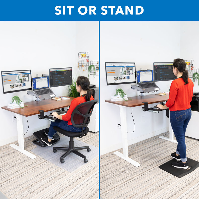 ErgoMaster Pro White Electric Sit/Stand Desk with Brown Top and Dual Motor