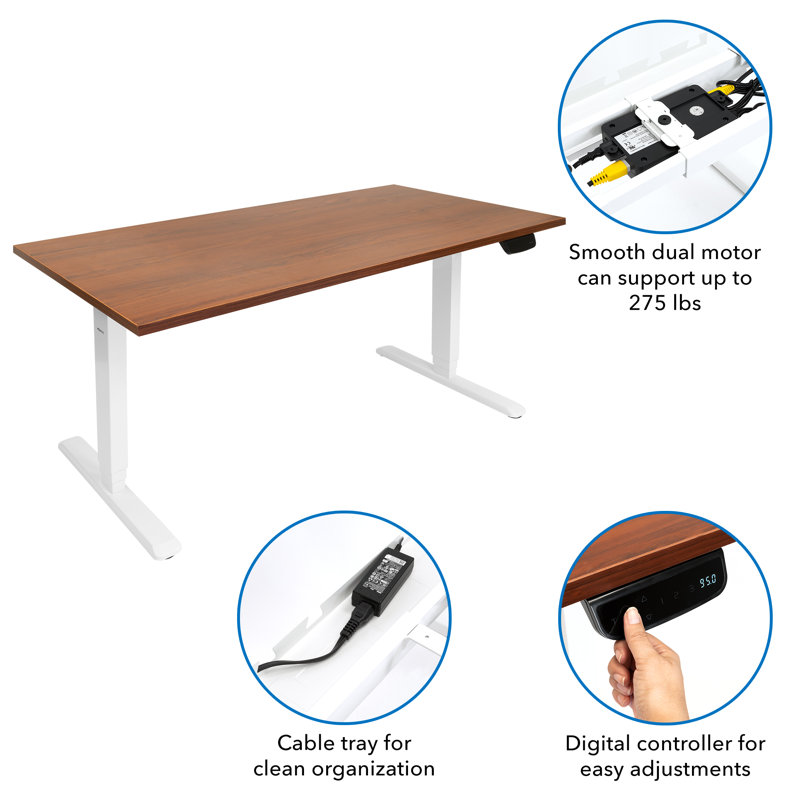 ErgoMaster Pro White Electric Sit/Stand Desk with Brown Top and Dual Motor