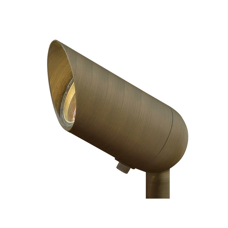 Matte Bronze LED Outdoor Spotlight with Clear Lens