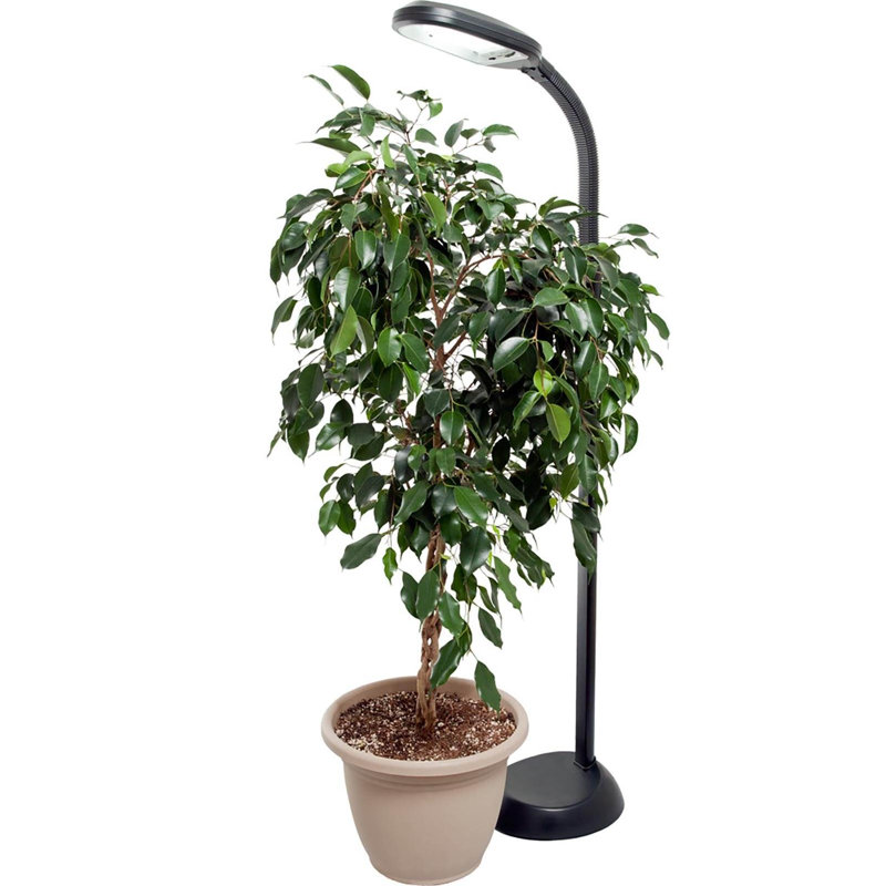 ArcFlex Black Adjustable Height 27W Floor Plant Light