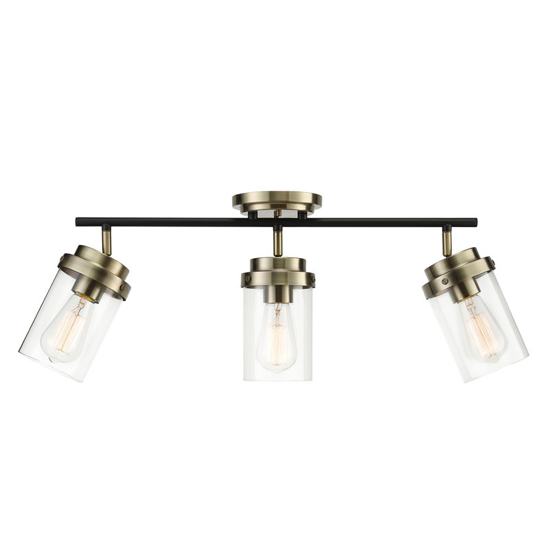 Adelaide Matte Black and Antique Brass 3-Light Track Kit with Clear Glass