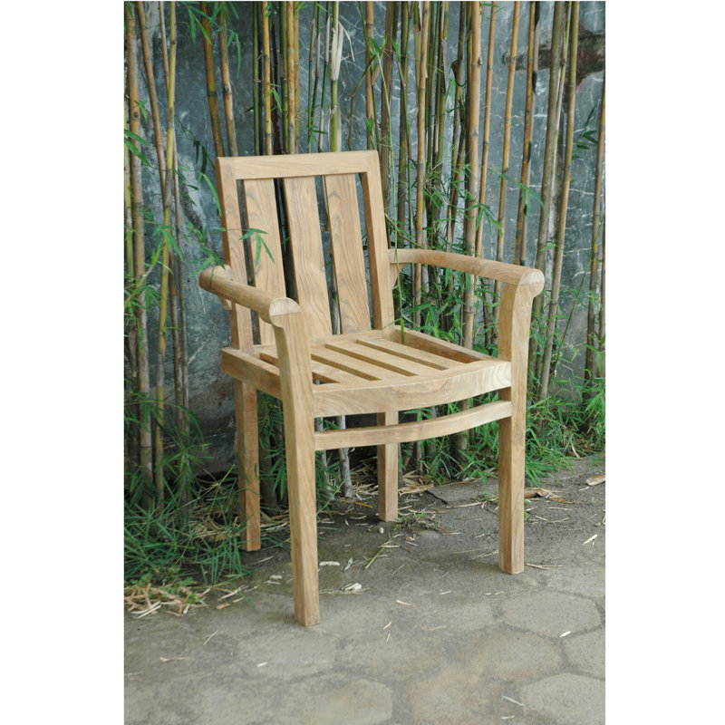 Natural Teak Outdoor Dining Armchair with Cushions