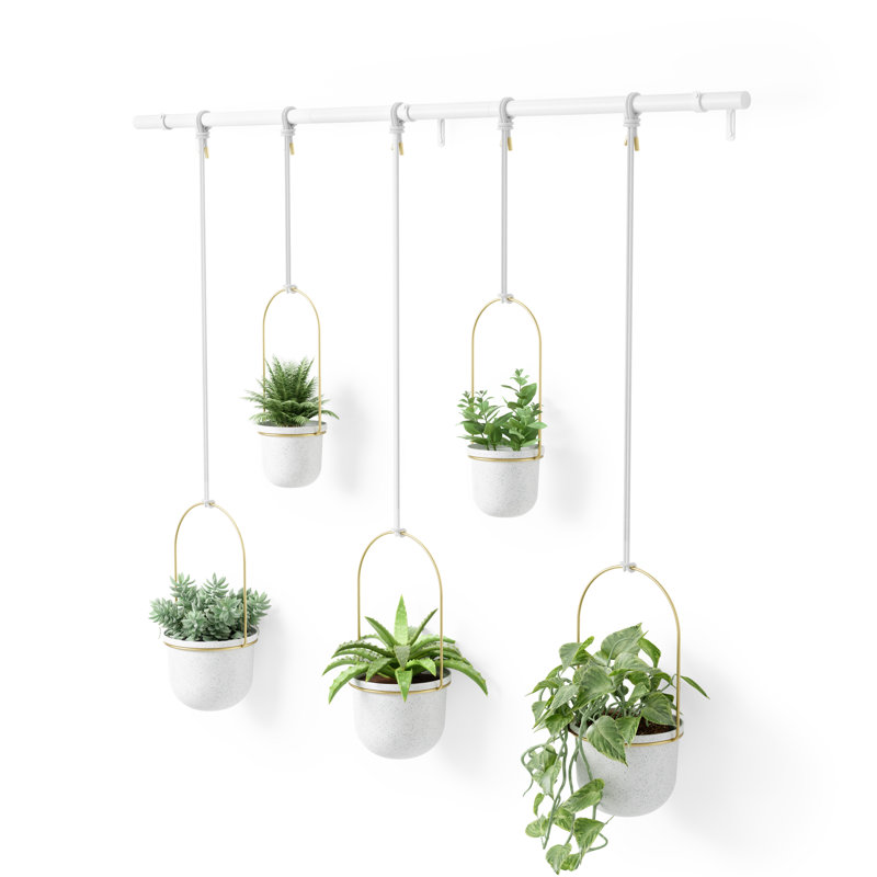 Triflora Adjustable White/Brass Indoor/Outdoor Hanging Planter