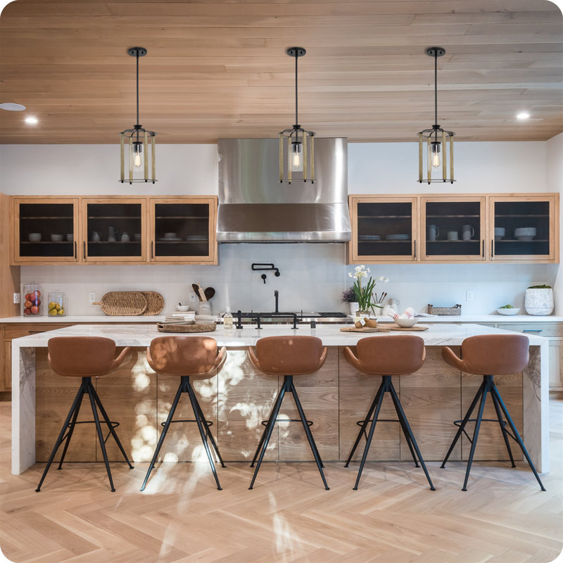 Houston Modern Farmhouse Black Pendant Light with Clear Glass Shade
