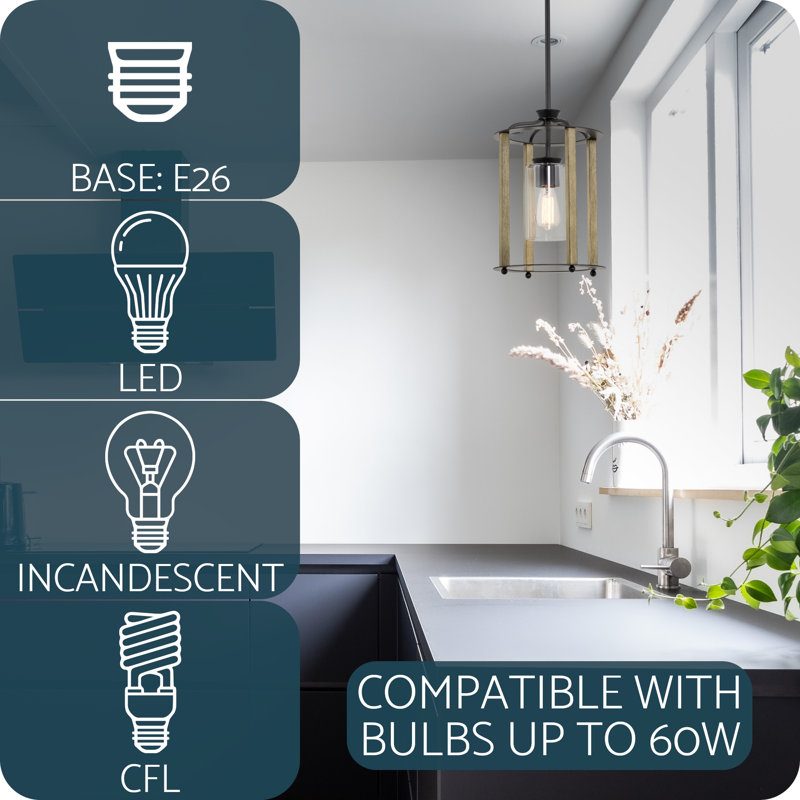 Houston Modern Farmhouse Black Pendant Light with Clear Glass Shade