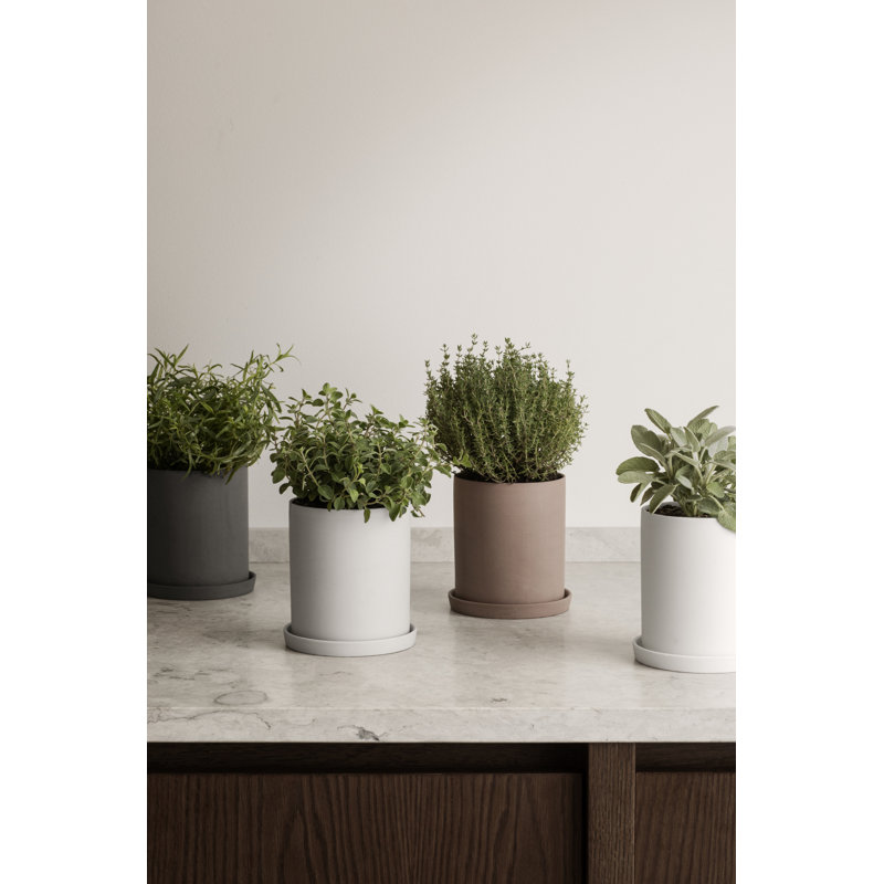 Nona Matte White Porcelain Round Herb Pot with Tray, 52oz