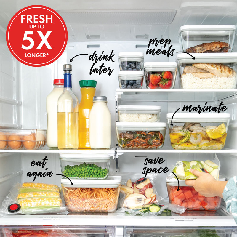 Large Semi-Transparent Plastic Vacuum Sealed Lunch Box