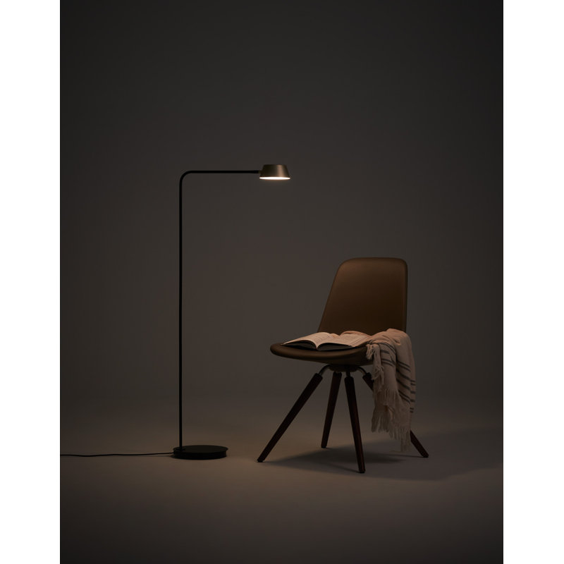 Adjustable Black and Gold Arched Floor Lamp