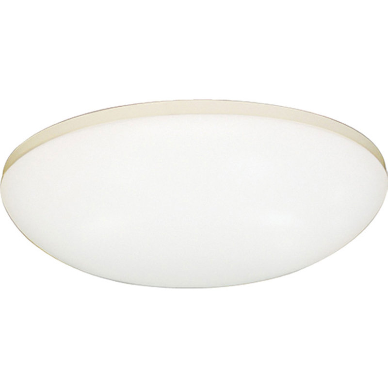 White Glass LED Flush Mount Ceiling Light