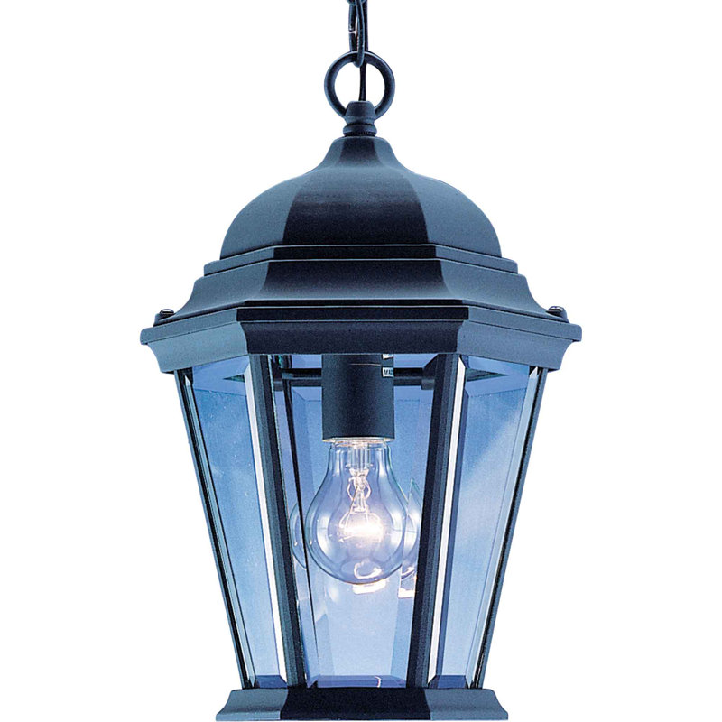 Elida Adjustable Black Metal Outdoor Pendant with Clear Beveled Glass
