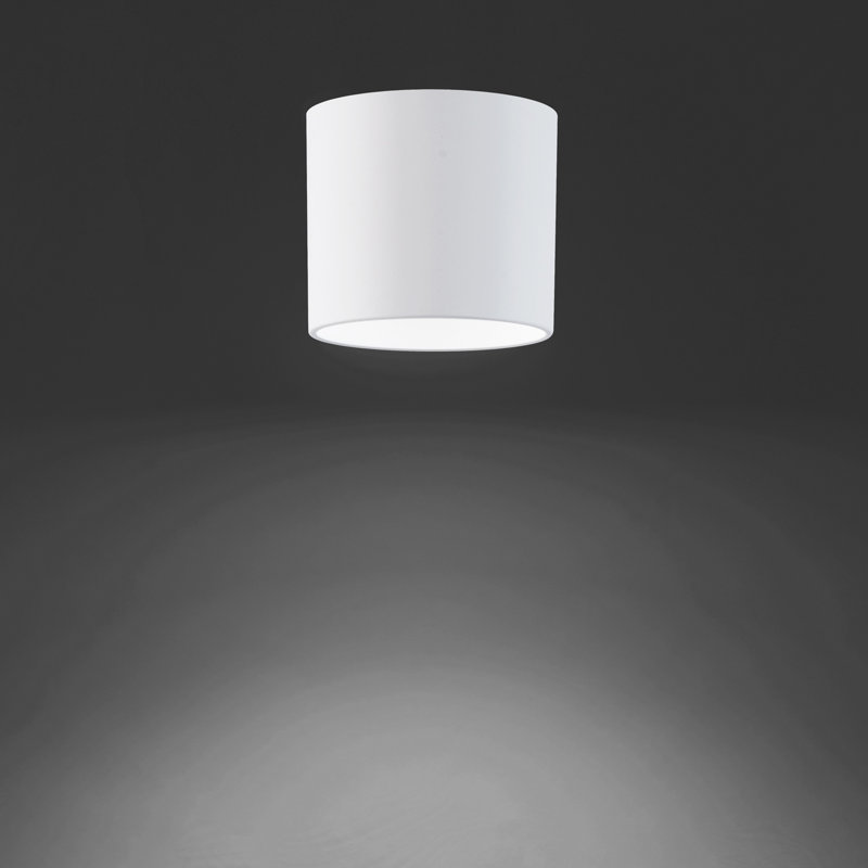 Squat Frosted White Glass Cylinder Outdoor Flush Mount Light