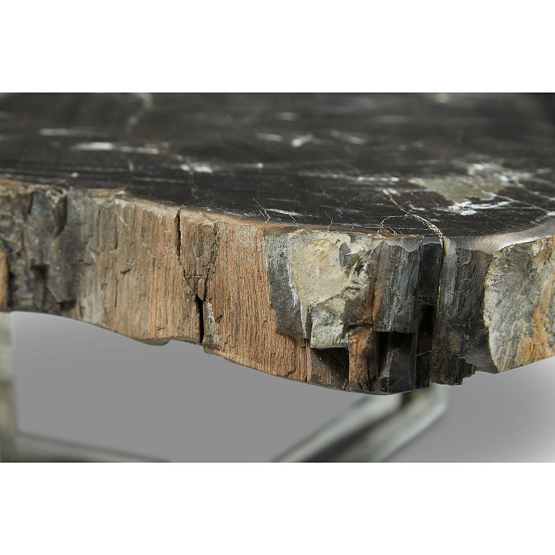 Urbia Relique Natural Dark Petrified Wood & Polished Stainless Steel Coffee Table