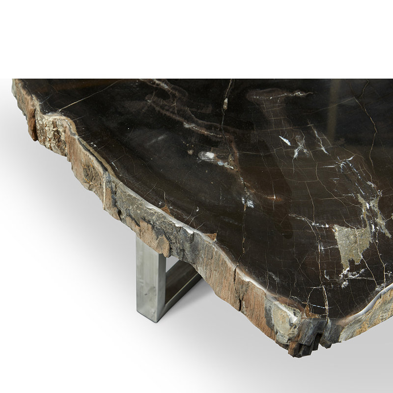 Urbia Relique Natural Dark Petrified Wood & Polished Stainless Steel Coffee Table